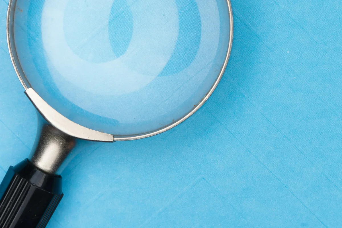 hiding-in-plain-site-article